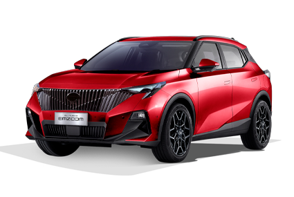 EMZOOM - GAC Toluca in Toluca México